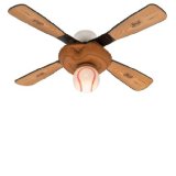 Hunter Baseball Ceiling Fan