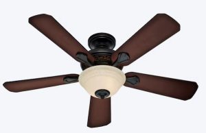 Hunter Forest Hill Ceiling Fan